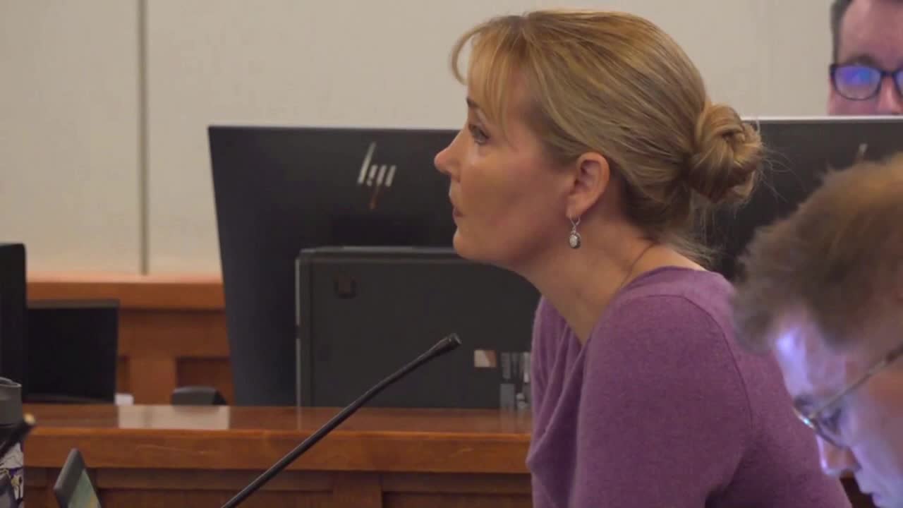 Sen. Nicole Mitchell trial: Day 2 recap