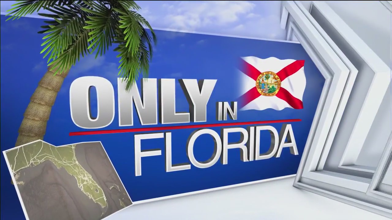 Aug. 1 edition of 'Only in Florida'