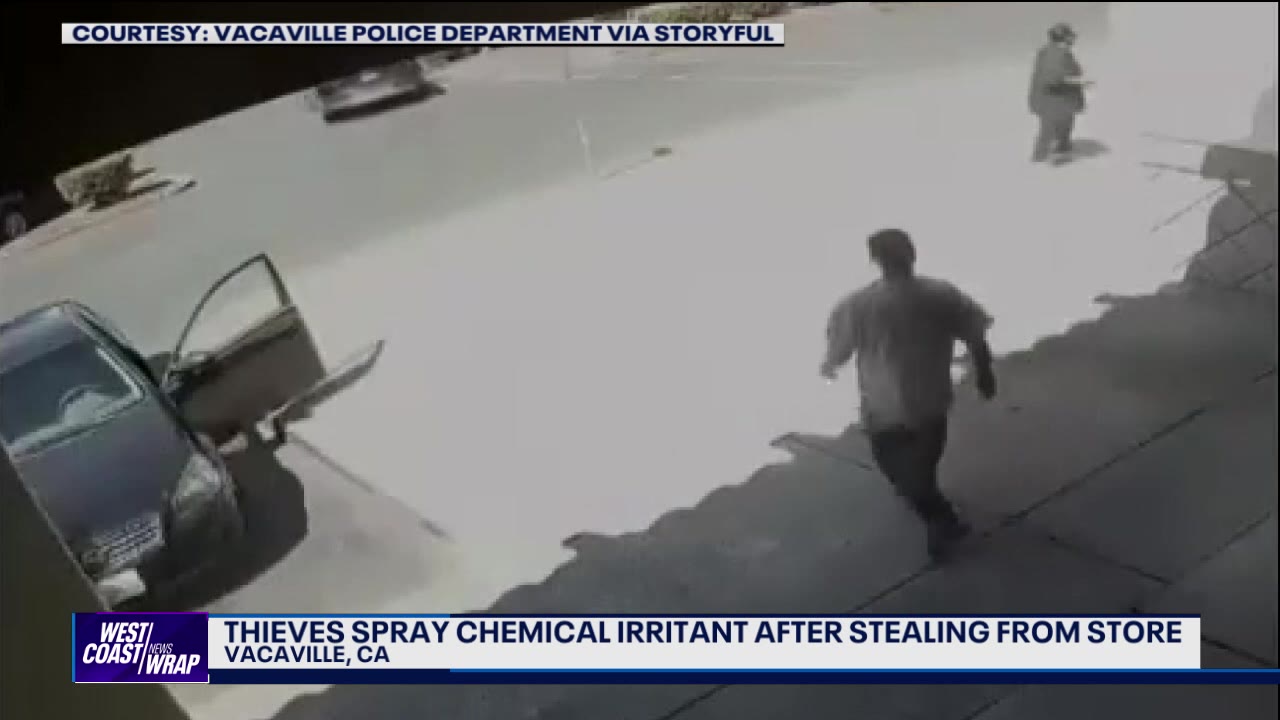 Thieves spray supermarket employee to escape | West Coast Wrap