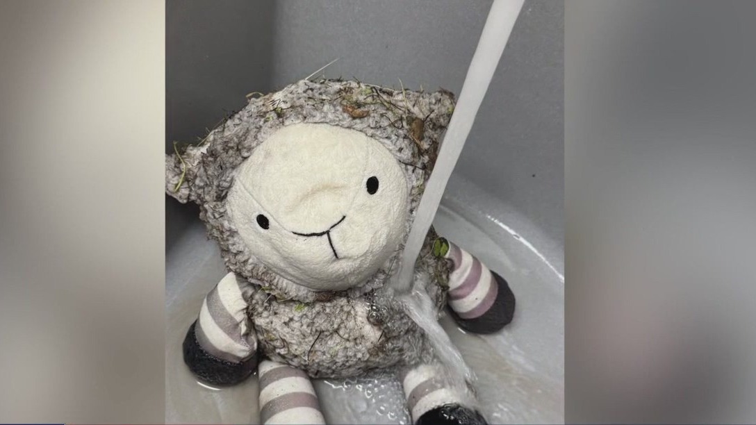 Texas floods: Group reunites residents with lost-and-found items