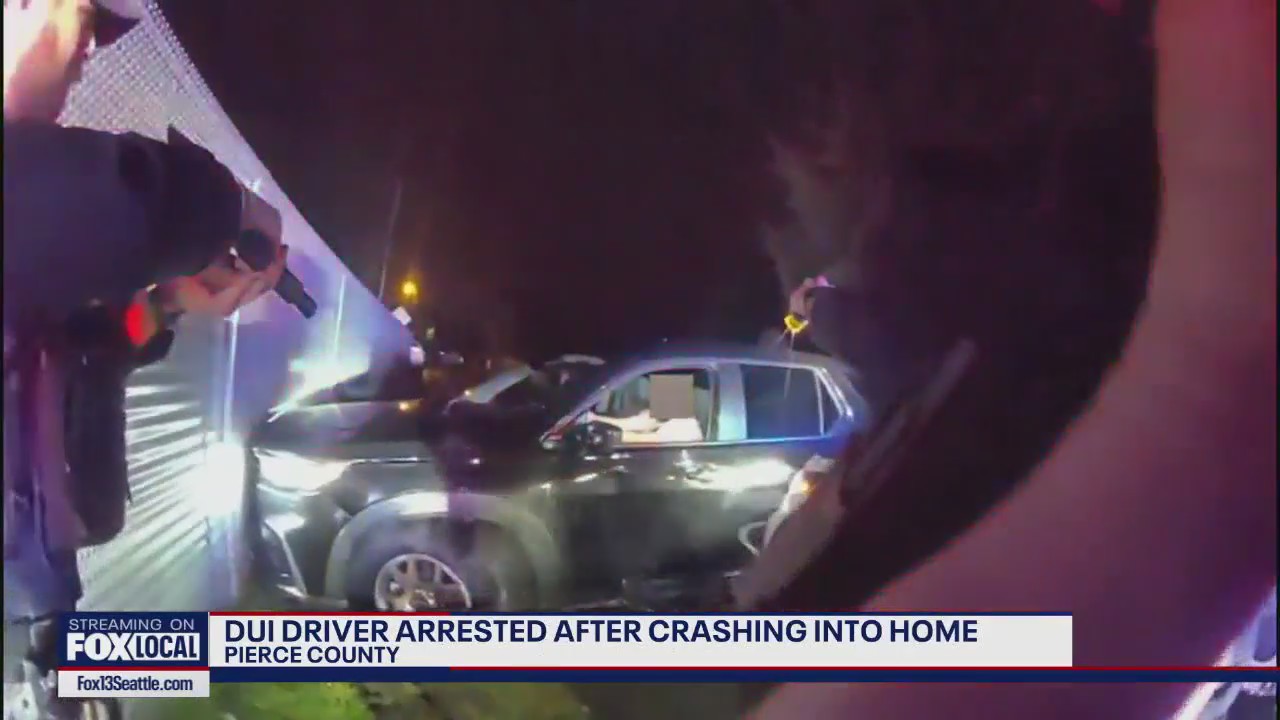 DUI driver arrested after crashing into home