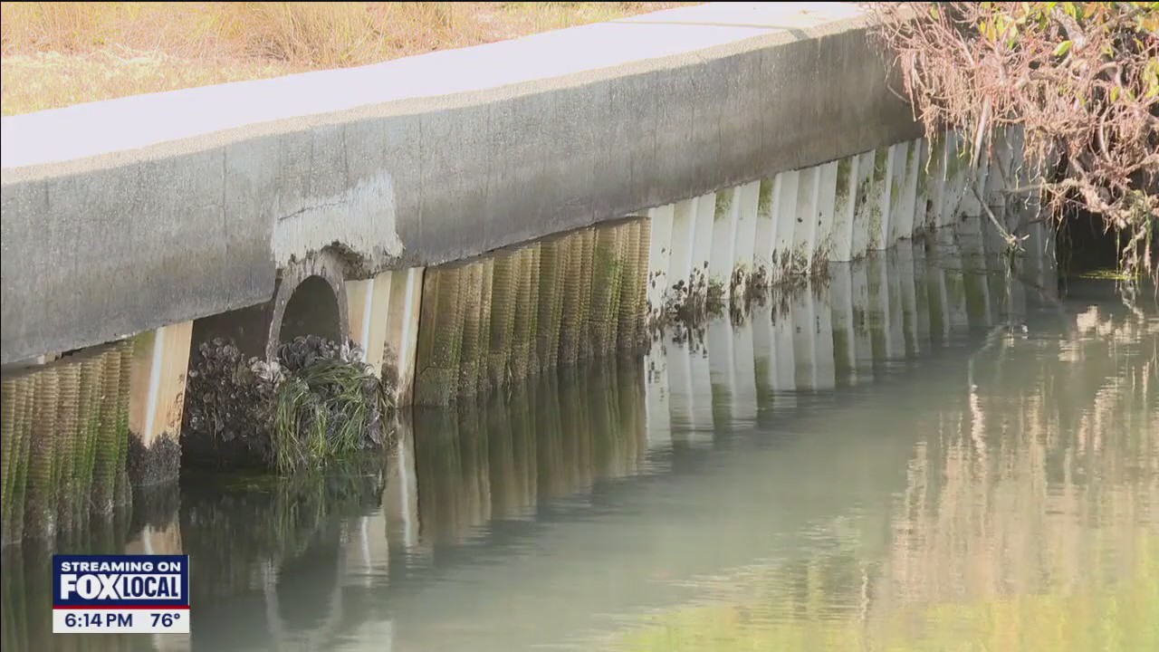 Living seawall created healthy habitat