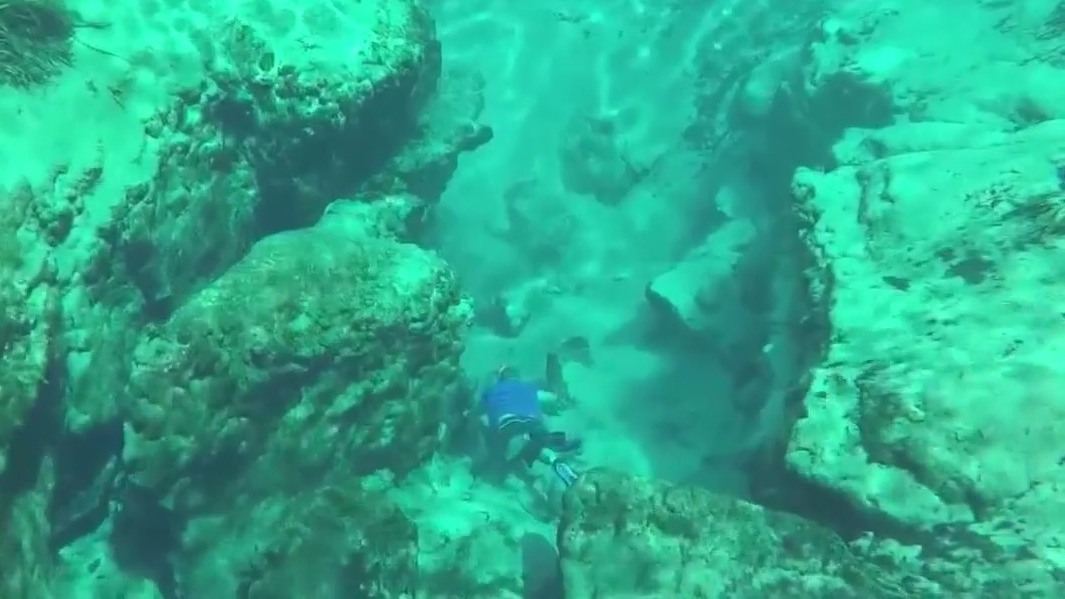 Push to make Florida Springs National Park