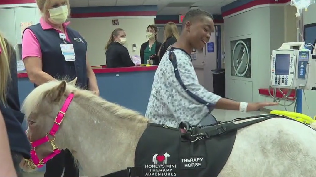 Mini-therapy horses help healing process