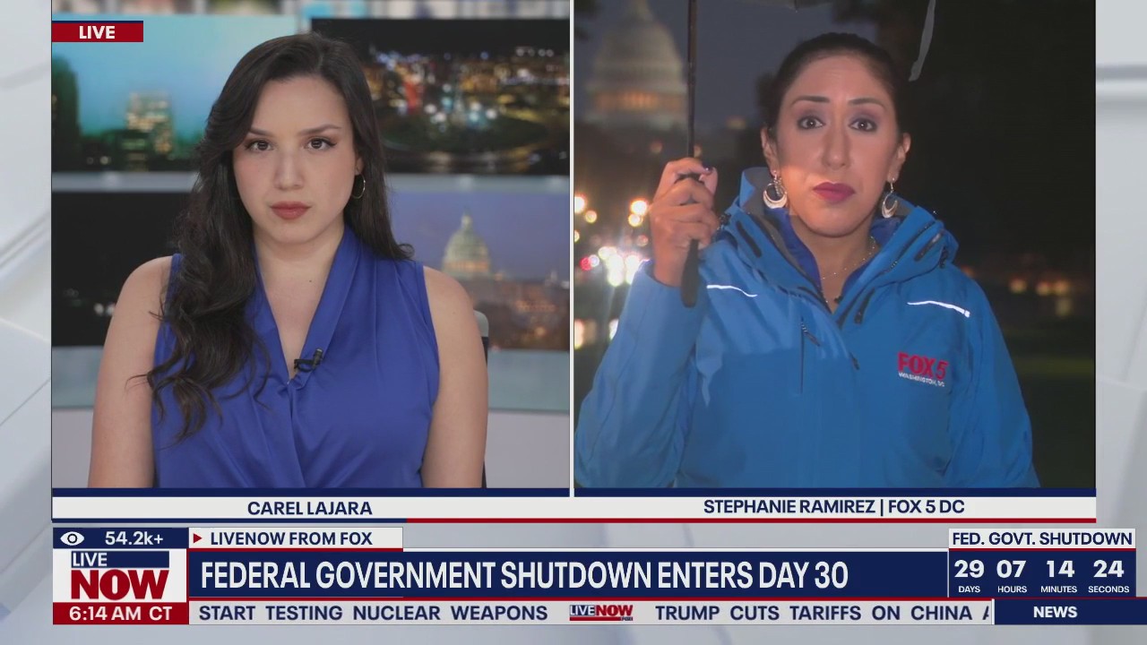 Zaustavitev zvezne vlade ZDA ogroža pomoč SNAP, države se trudijo pomagati