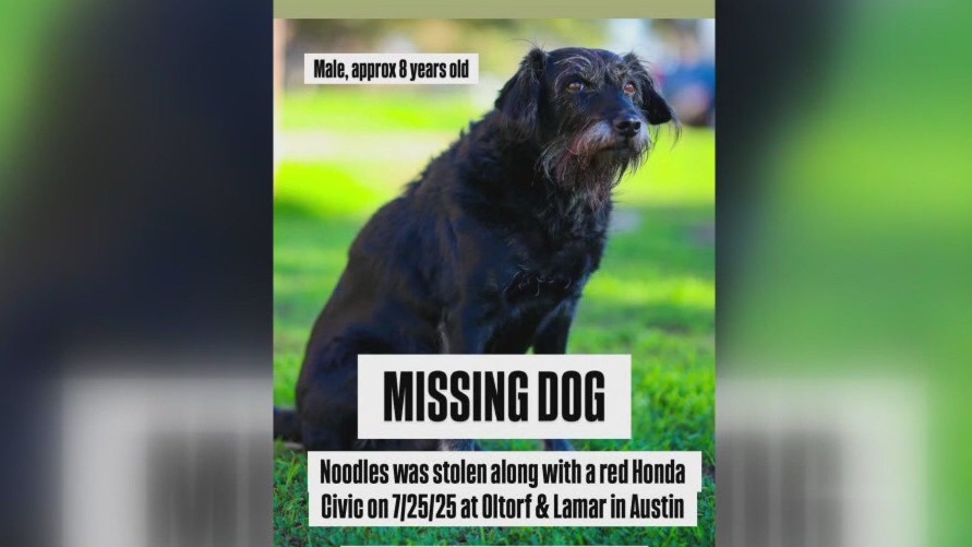 Man's car and dog stolen in South Austin