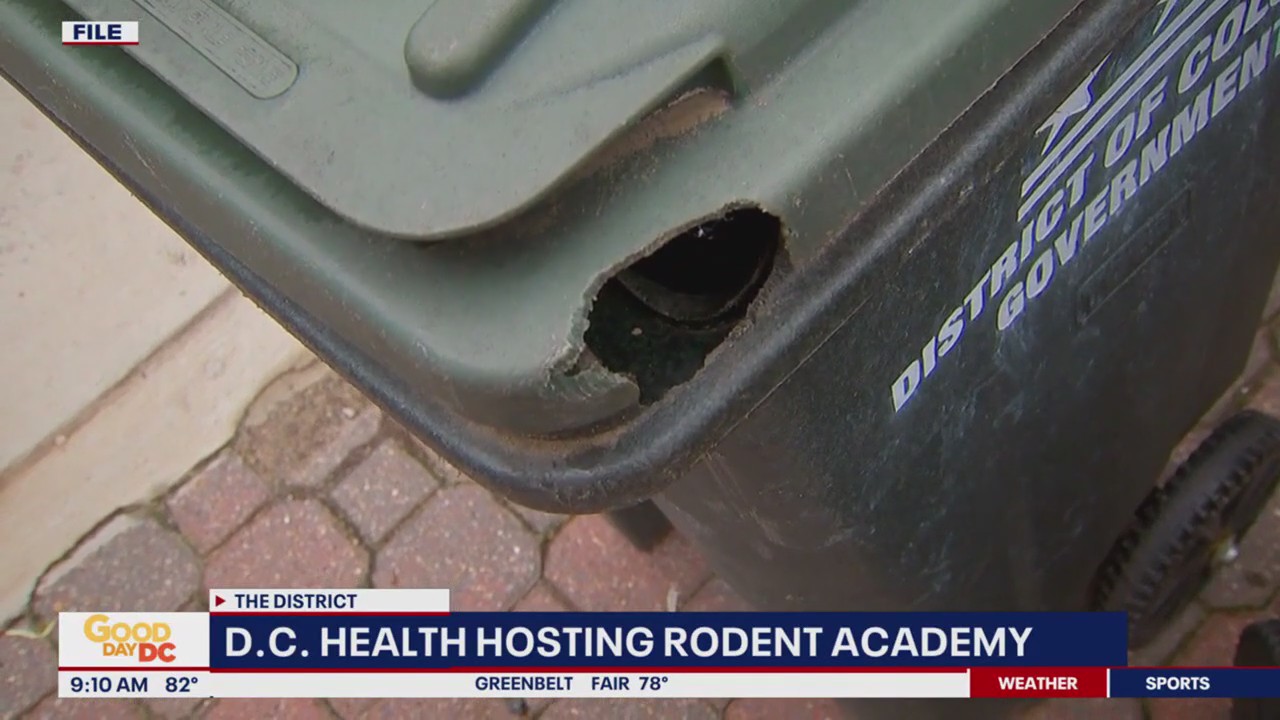 Rodent academy hopes to get DC rat problem under control