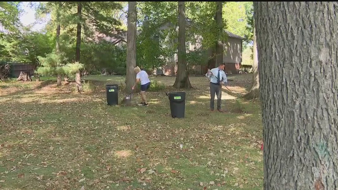 What's with all the acorns falling?