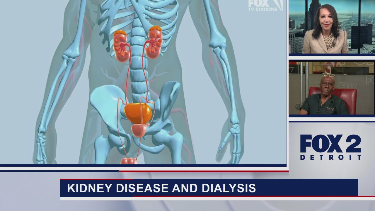 Kidney Concerns Lori's Stories part 2