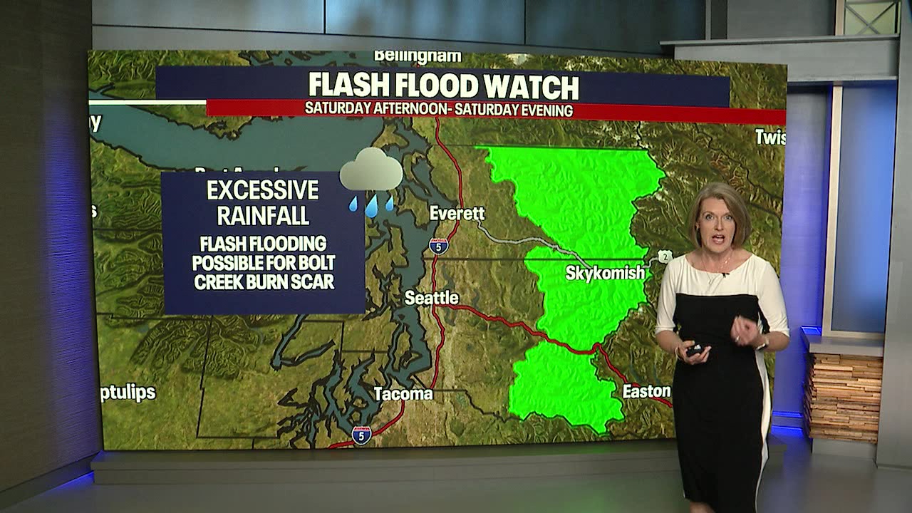 Seattle weather: A few showers for Father's Day