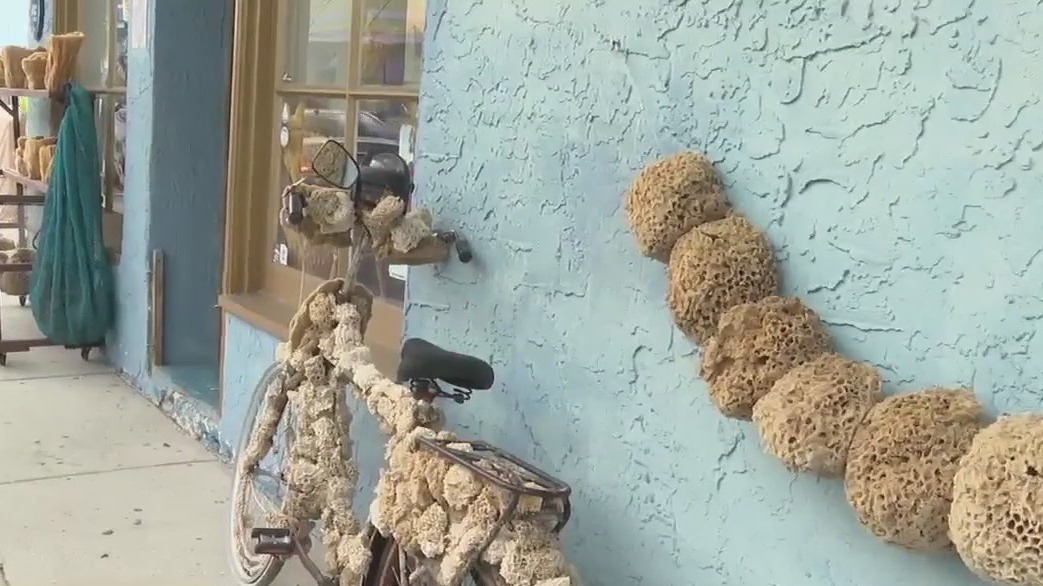 Tarpon Springs Sponge Docks Crafts Festival