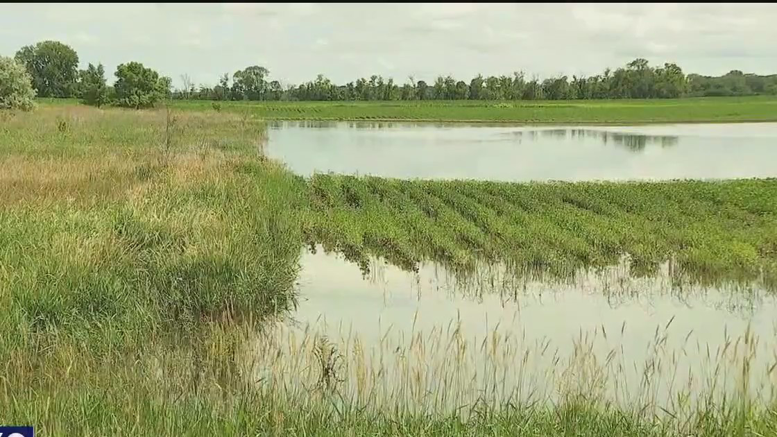 Massive rainfall in Kandiyohi County causes millions in damage