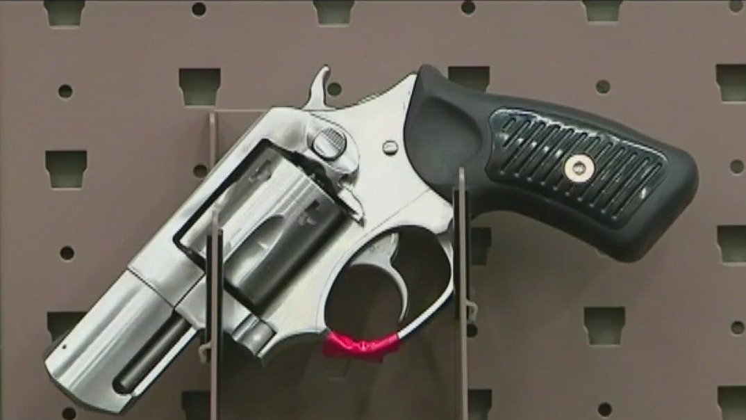 Group pushing for lawmakers to pass gun safety bills during fall veto session