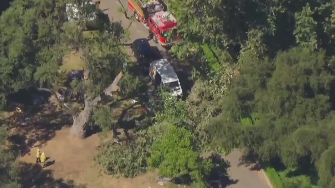 Child killed by falling tree branch at summer camp
