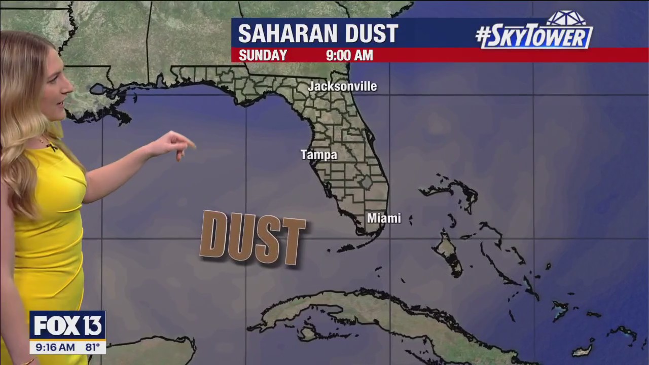 Tampa weather | Heavy rain and gusty winds Sunday