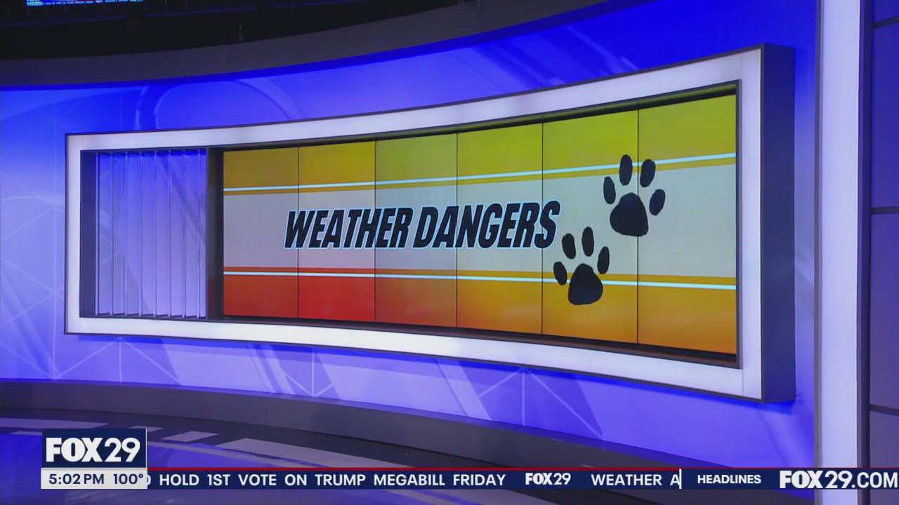 Heat wave in Philly continues: Everything you need to know