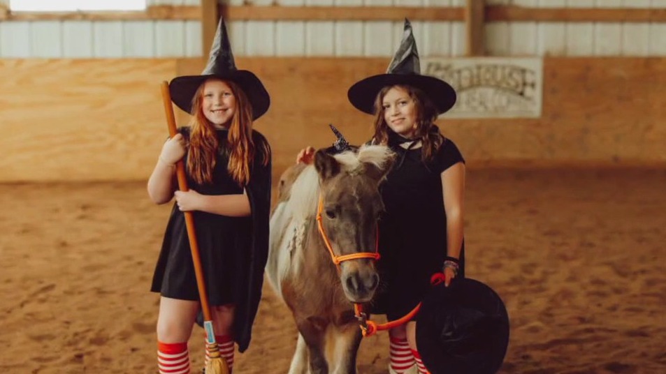 Local mom helps families through horse nonprofit