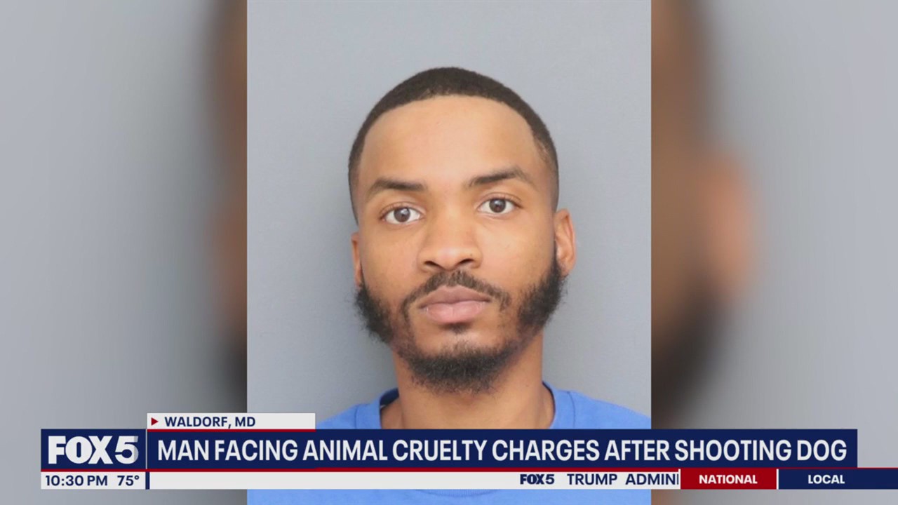 Man charged after shooting dog with AR-15 during neighborhood dispute