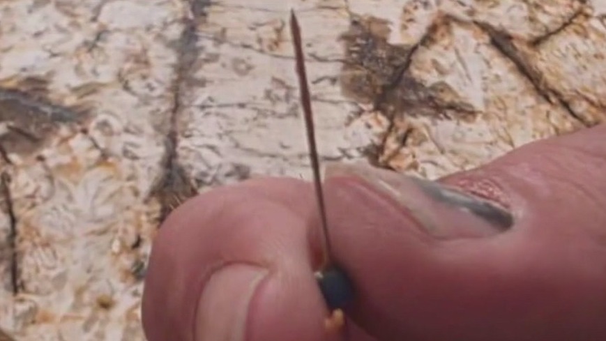 Sewing pins found in Santa Fe parade candy