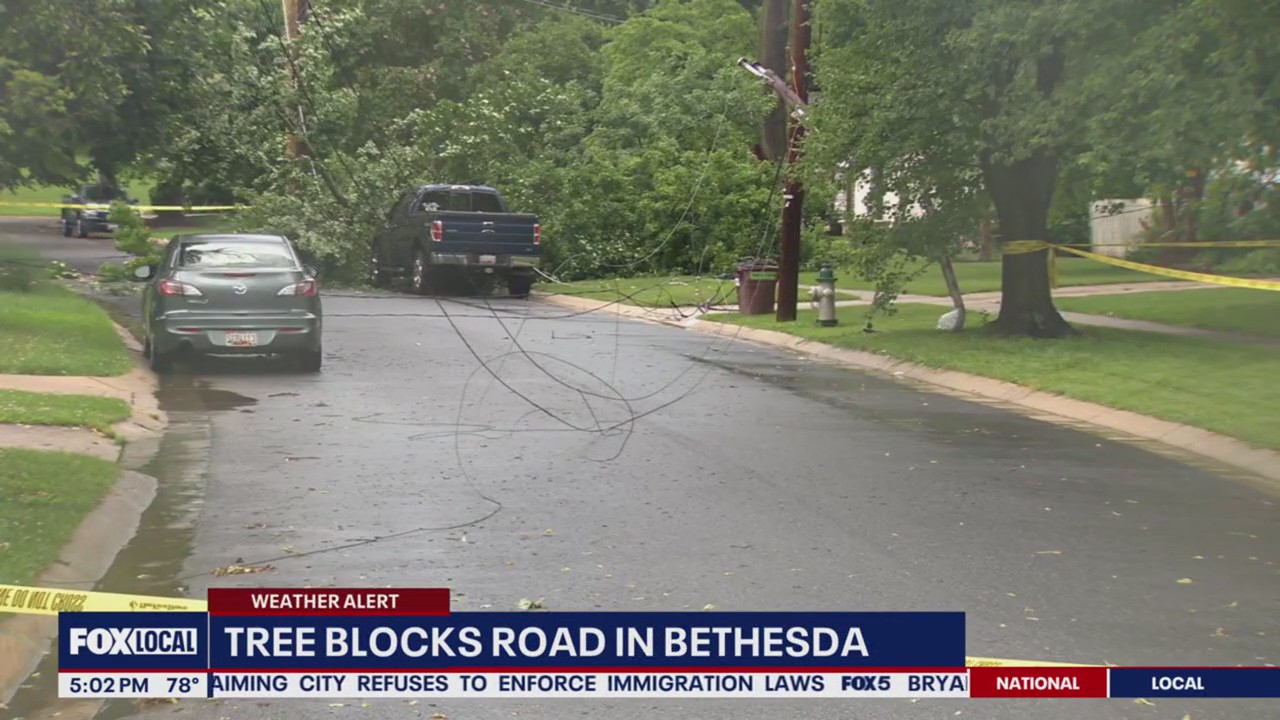 Tree down in Bethesda after strong storms roll through
