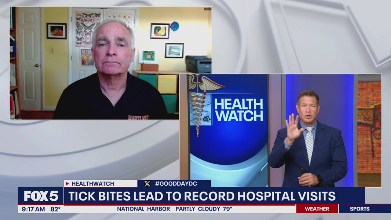 Tick bites lead to record hospital visits