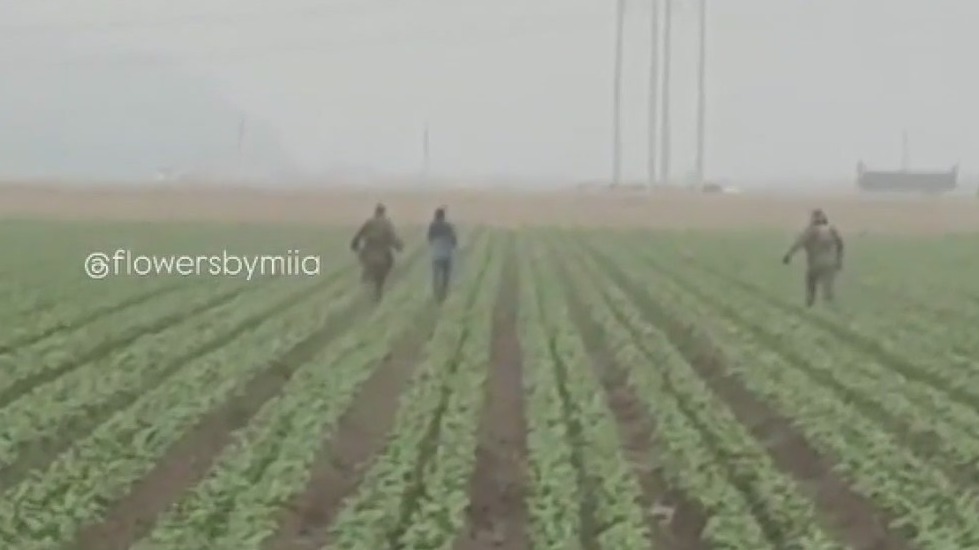 ICE agents arrest California farmworkers