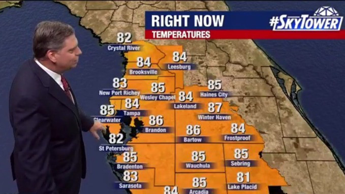Tampa weather | Warm and humid
