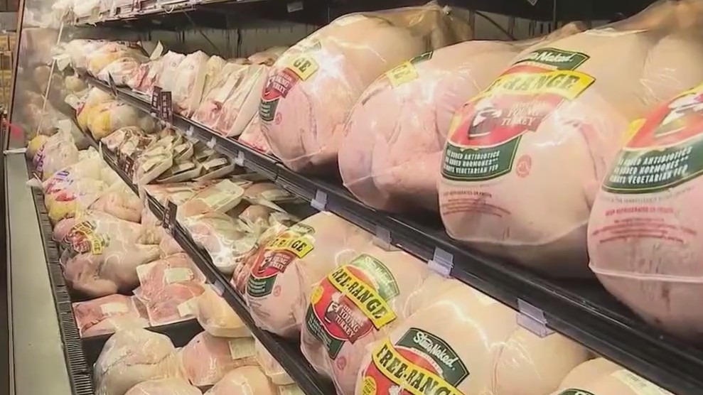 Turkey prices trending lower this holiday season