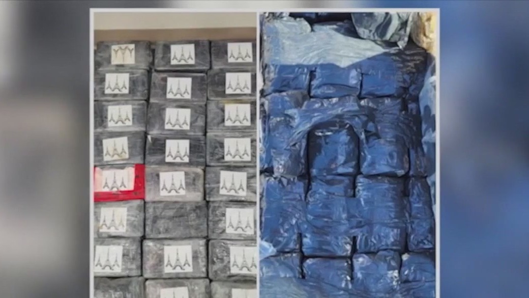 Sharks test positive for cocaine