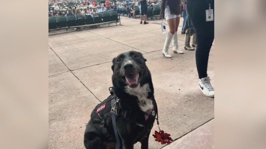 Austin service dog, owner meet Keith Urban