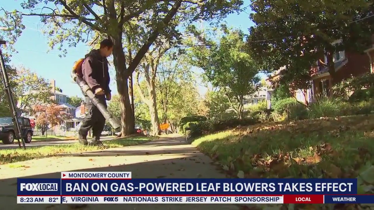 Gas-powered leaf blower ban exemption proposed