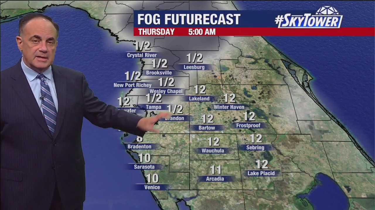 Tampa weather | Foggy and mild temperatures