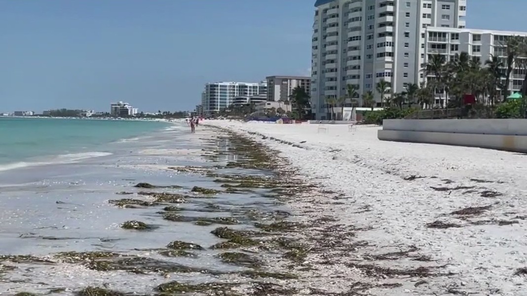 Renourishment project on Lido Beach