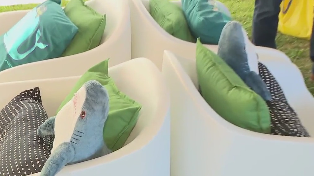 Hundreds of kites will be up in the air