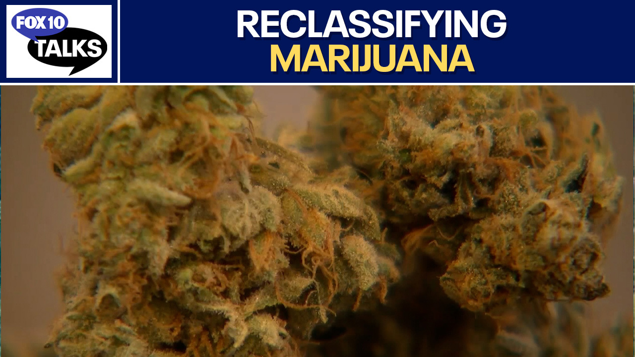 President Trump to reclassify marijuana? l FOX 10 Talks