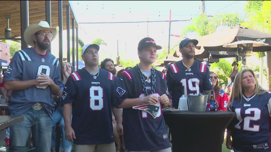 Meet Tampa Bay's biggest Patriots fans