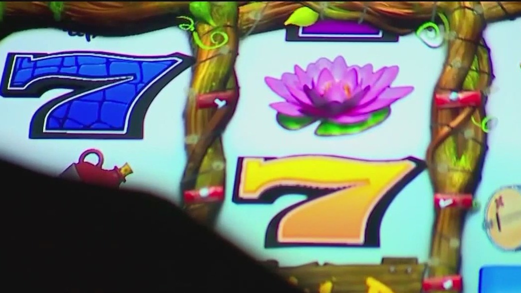 Sheriff's arrest raises questions about Florida gambling laws