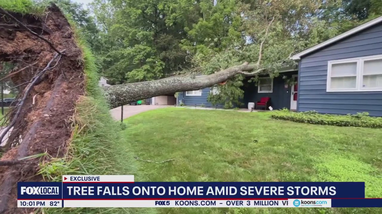 Massive tree falls on home in Upper Marlboro amid severe storms