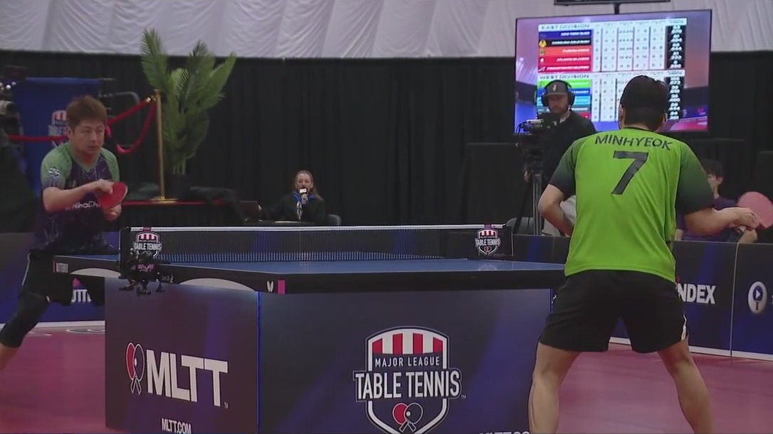 Major League Table Tennis in Bensenville