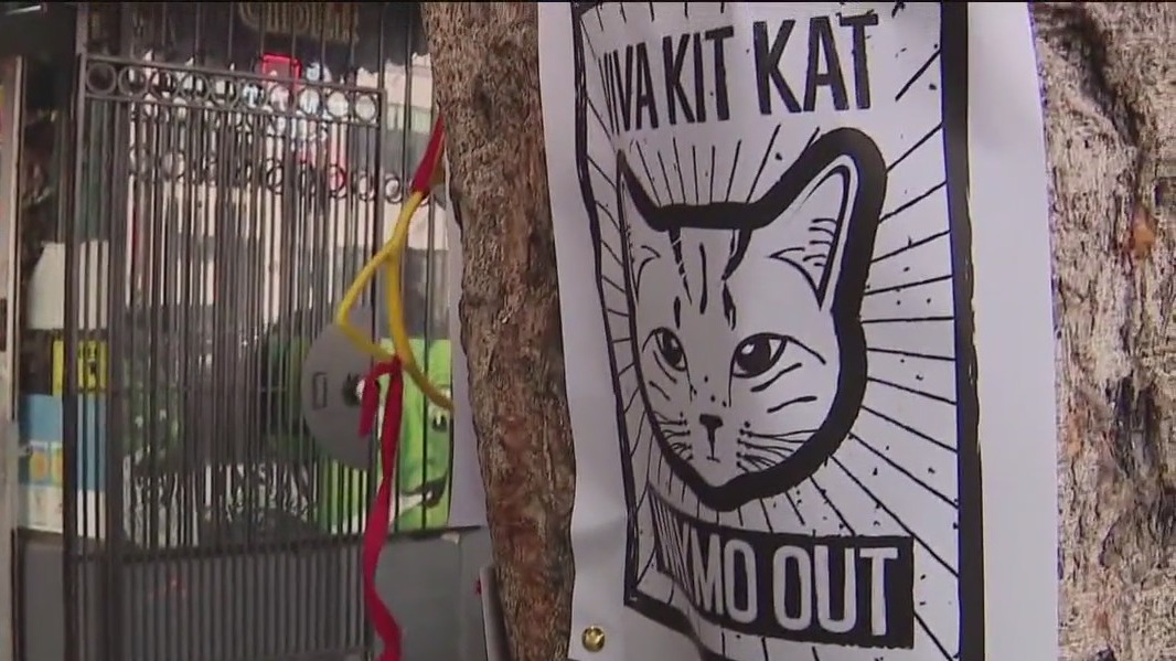 Justice for KitKat: SF supervisor holds rally for autonomous vehicle regulation