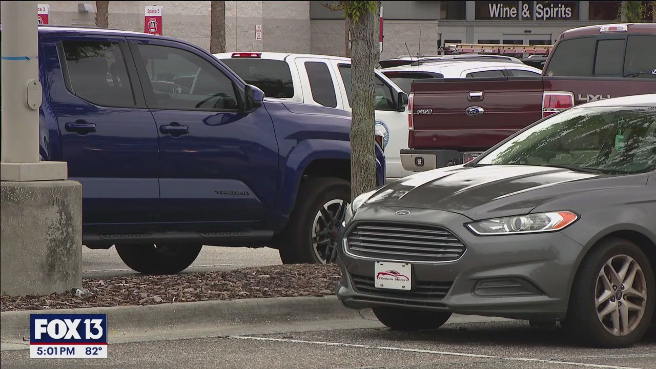 Florida smash-and-grab burglary ring busted