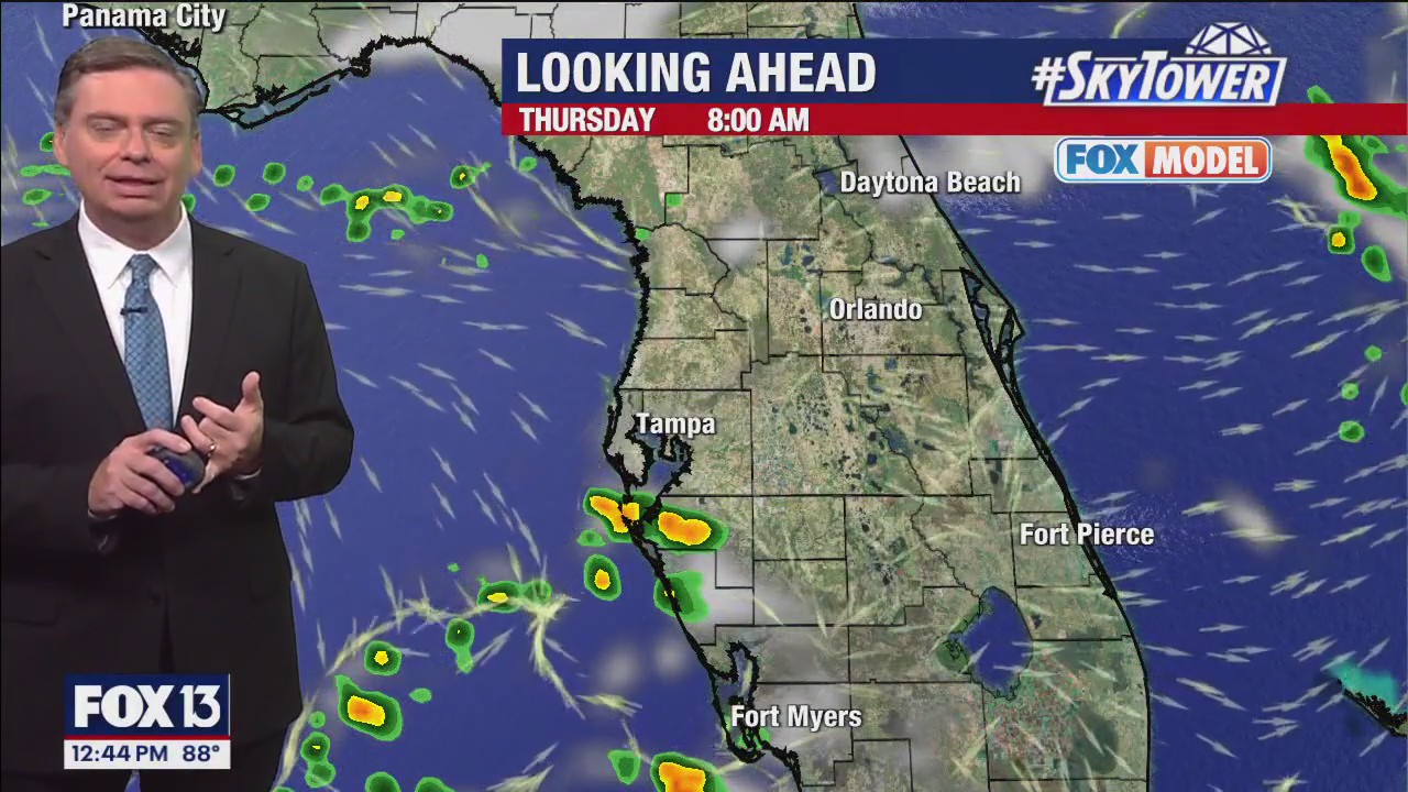 Tampa Weather | Hot with low chances of rain