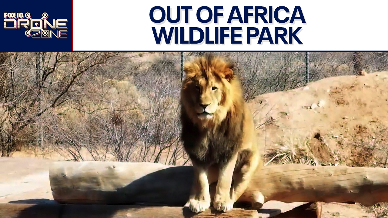 On safari | Drone Zone