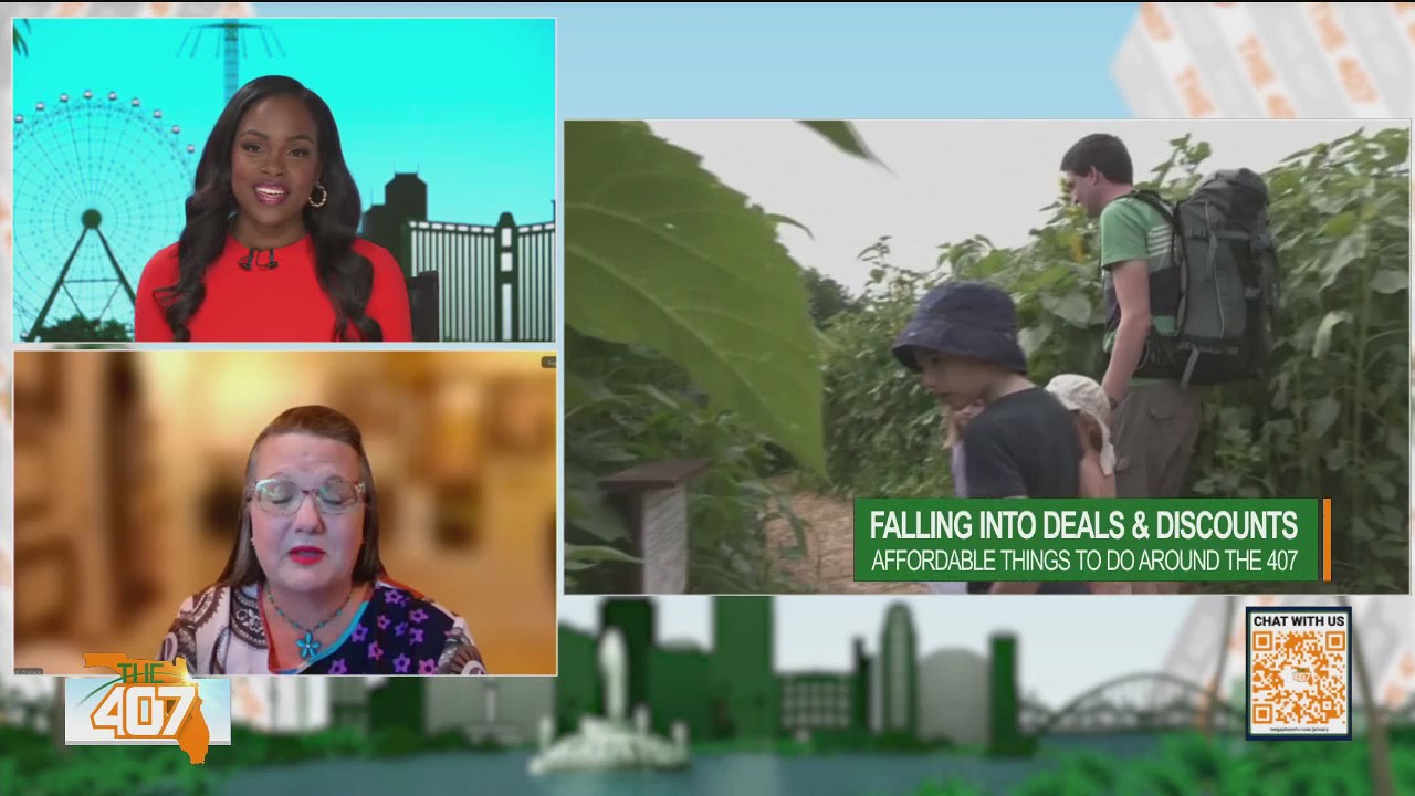 Falling into deals and discounts for affordable activities