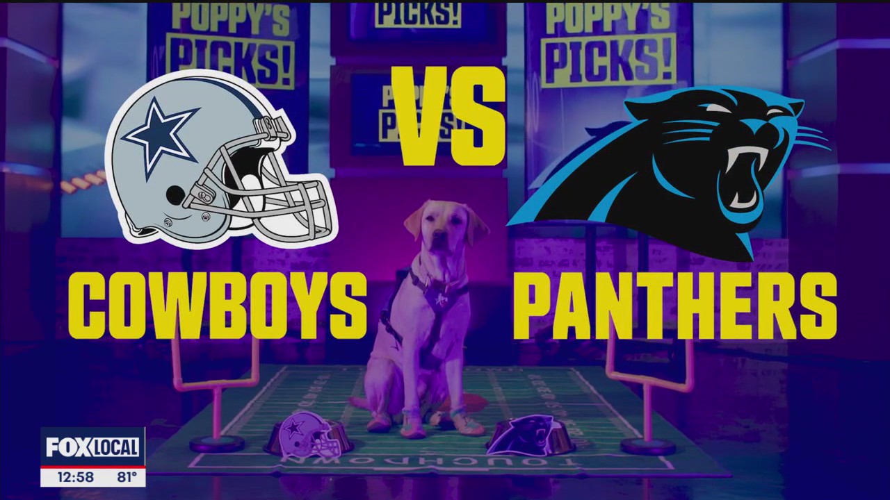 Poppy Picks: Cowboys vs Panthers