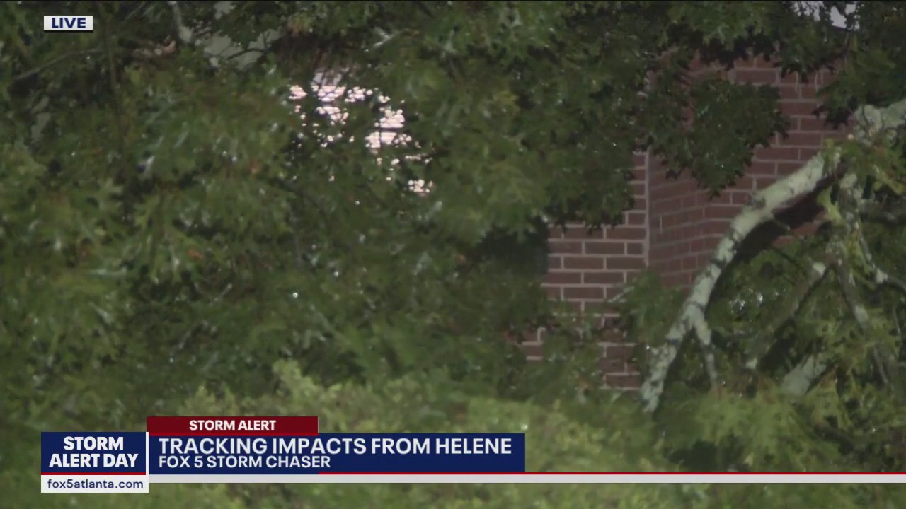 Tree falls on home ahead of Helene