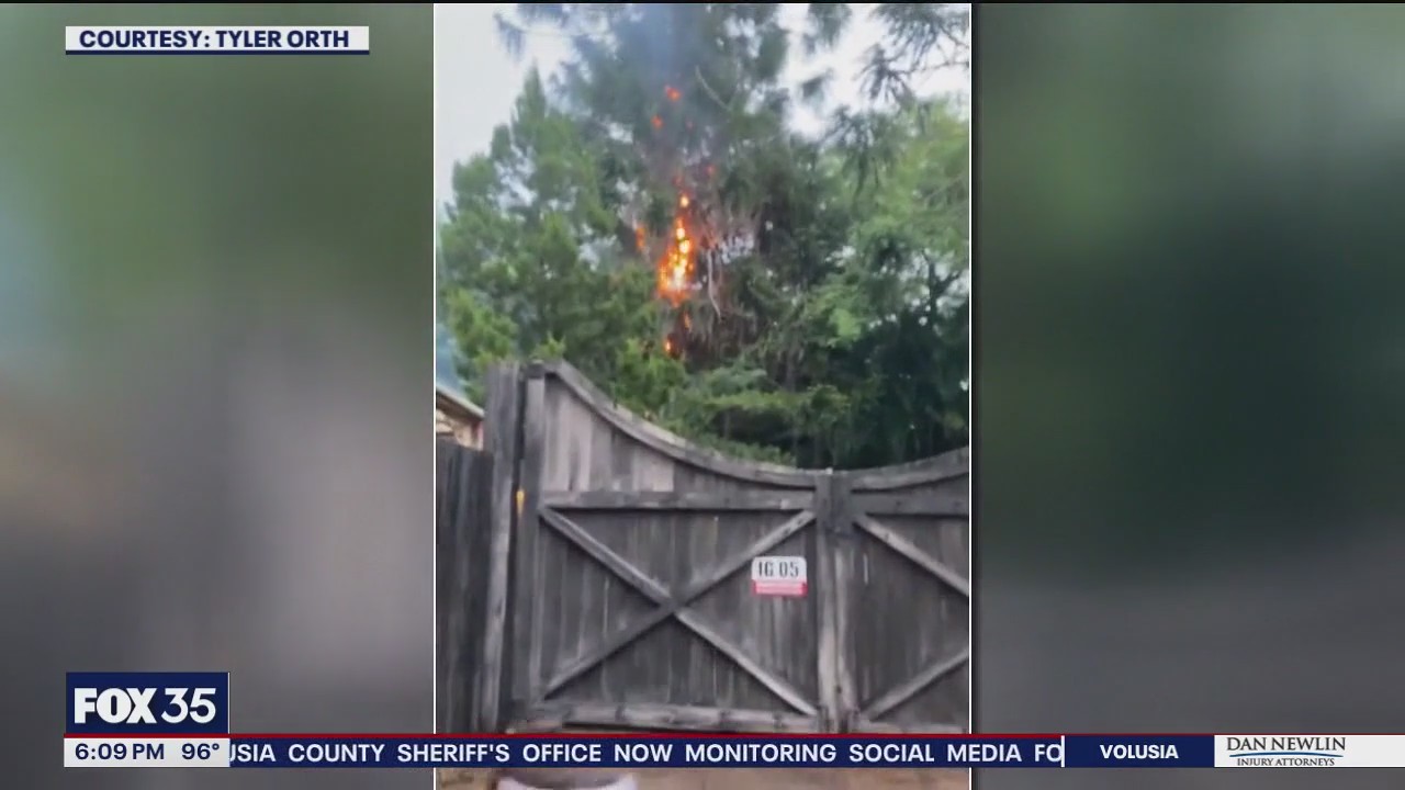 Tree fire at Universal's Islands of Adventure theme park
