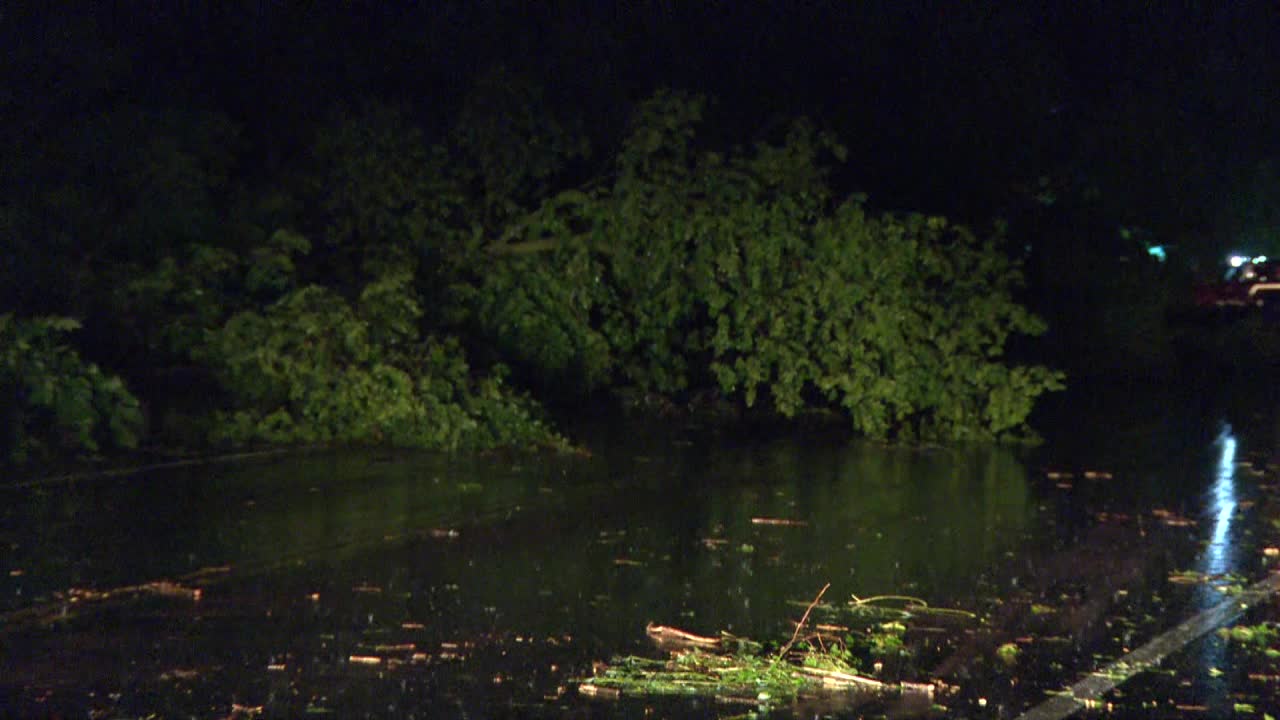 MN weather: Highway 7 blocked by downed trees
