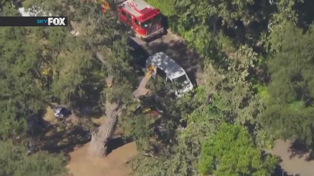 Tree falls at Malibu summer camp, children injured