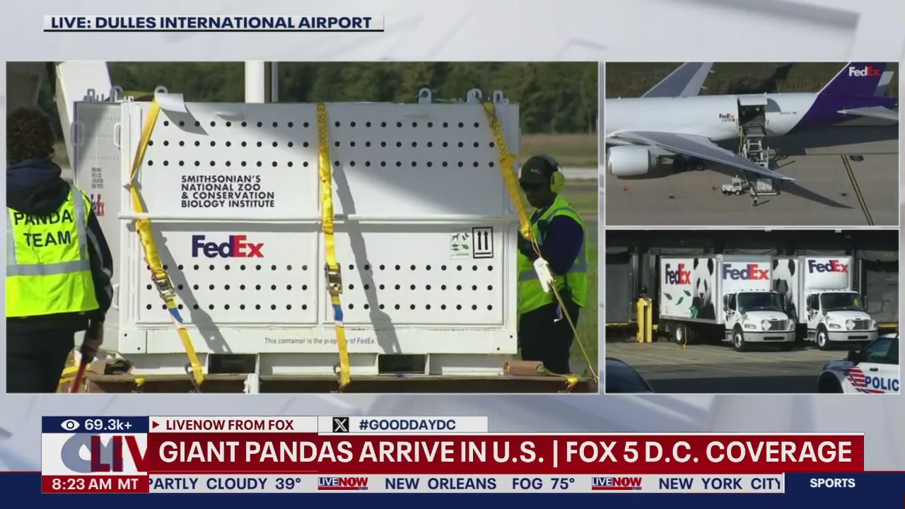 New giant pandas on way to National Zoo